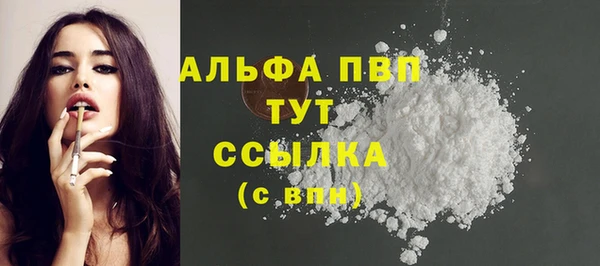 индика Бугульма