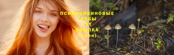 индика Бугульма