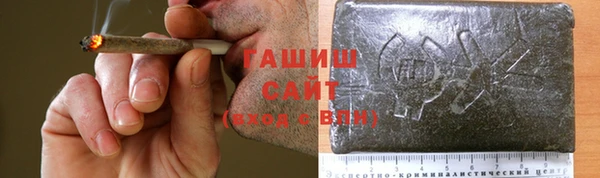 индика Бугульма