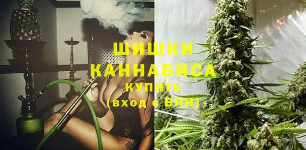 индика Бугульма