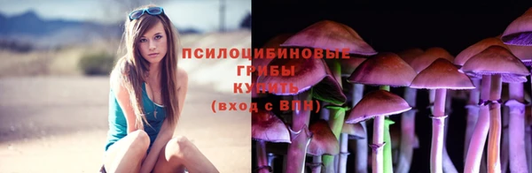 индика Бугульма