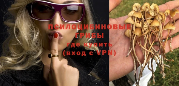 скорость Бородино