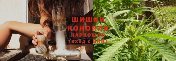 индика Бугульма