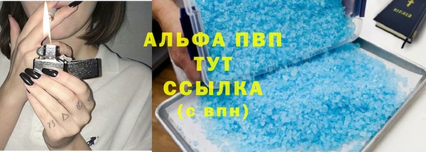 индика Бугульма
