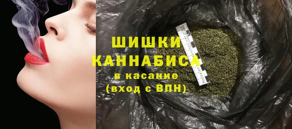 индика Бугульма